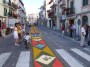 infiorata (79)